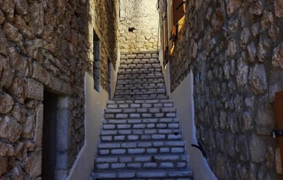 #3003-Roots Apt-Dhermi